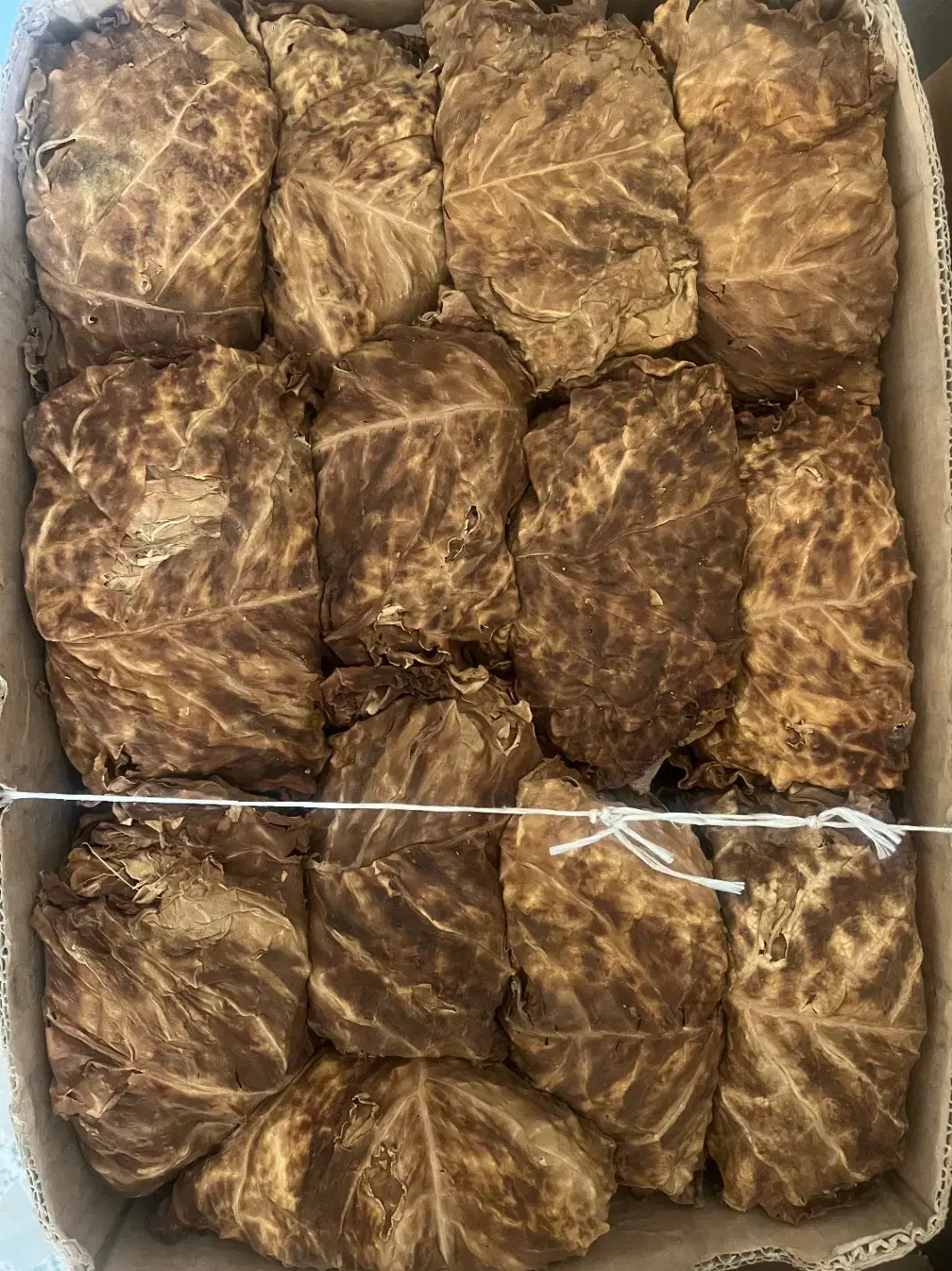 کاهو|عمده‌فروشی|کاکی, |دیوار