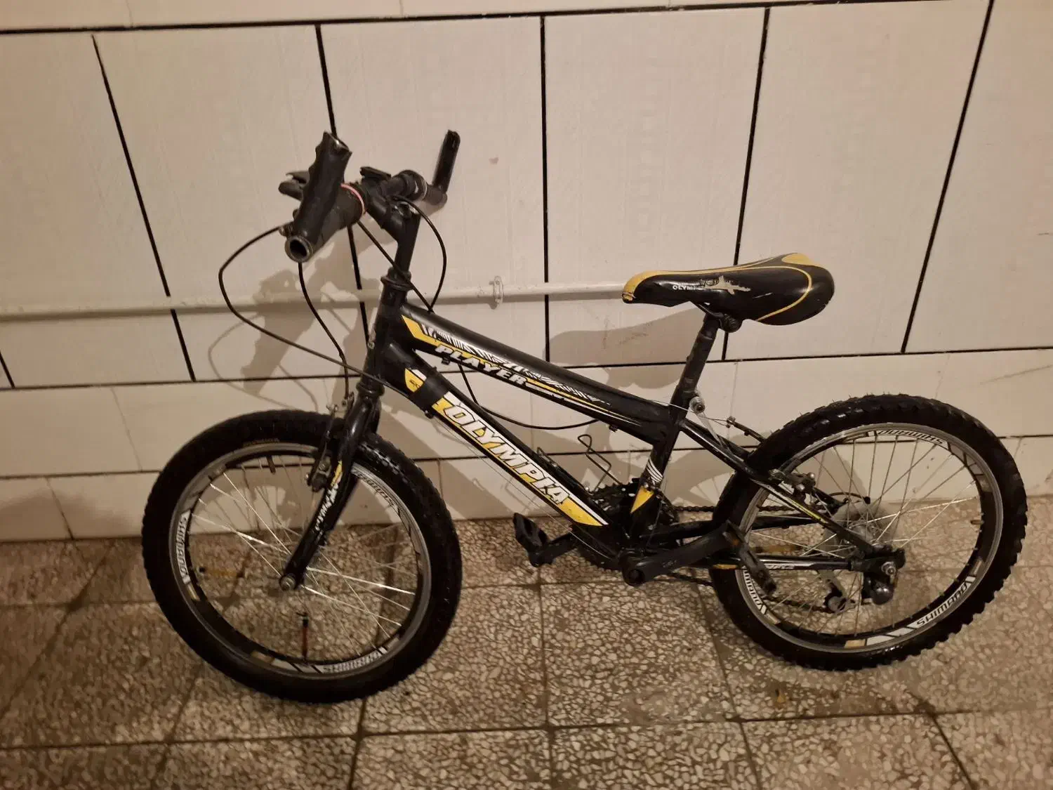 دوچرخه سایز ۲۰|دوچرخه، اسکیت، اسکوتر|الیگودرز, |دیوار