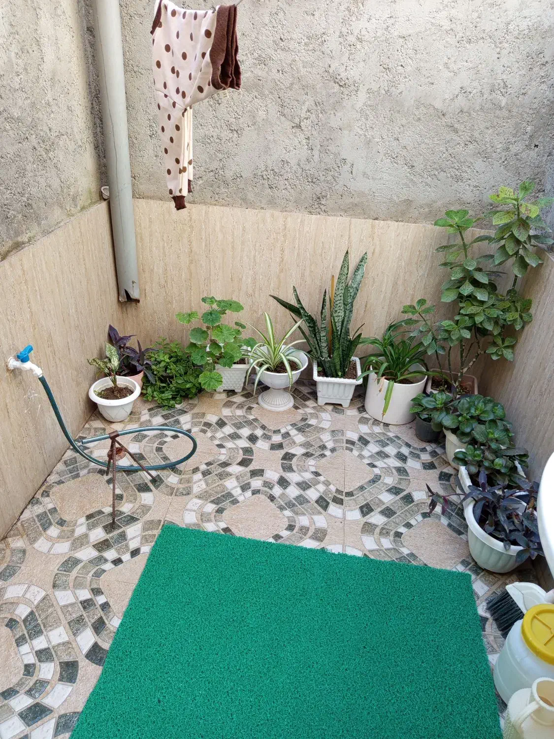 فروش‌خانه|فروش خانه و ویلا|پارس‌آباد, |دیوار