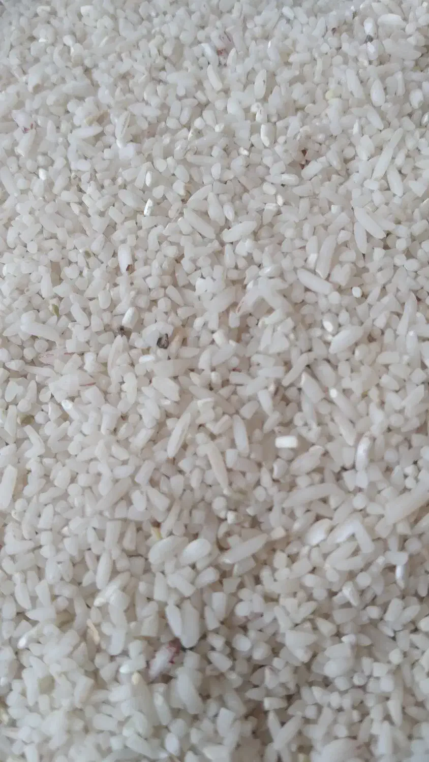 برنج دمسیاه اصل کلات نادر|خوردنی و آشامیدنی|یزد, |دیوار
