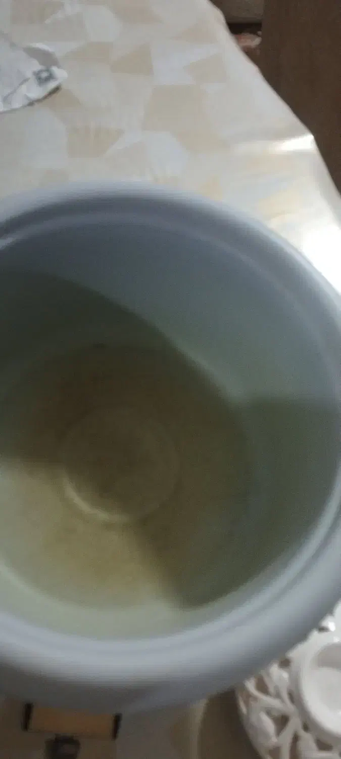 پلو پز پارس خزر|اجاق گاز و لوازم برقی پختوپز|مسجد سلیمان, |دیوار