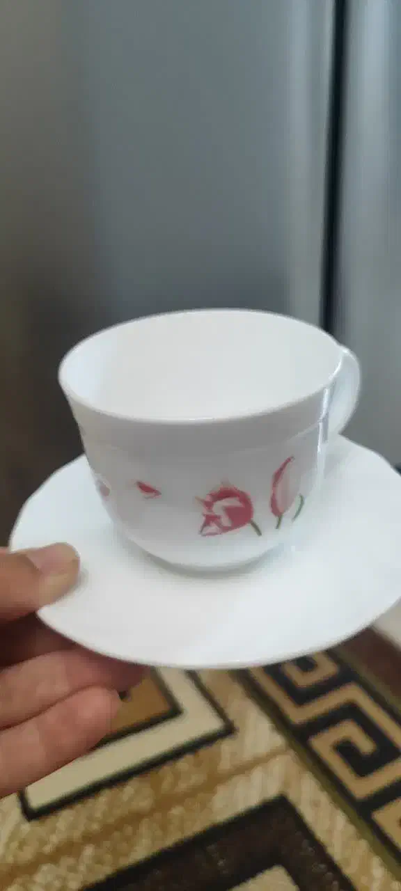 فنجون|ظروف سرو و پذیرایی|تهران, صفا|دیوار