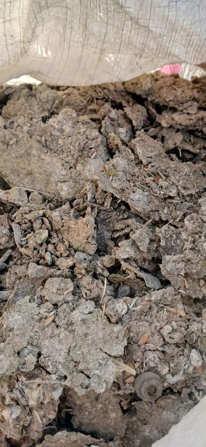 کود.کبوترفروشی|لوازم جانبی حیوانات|همدان, |دیوار