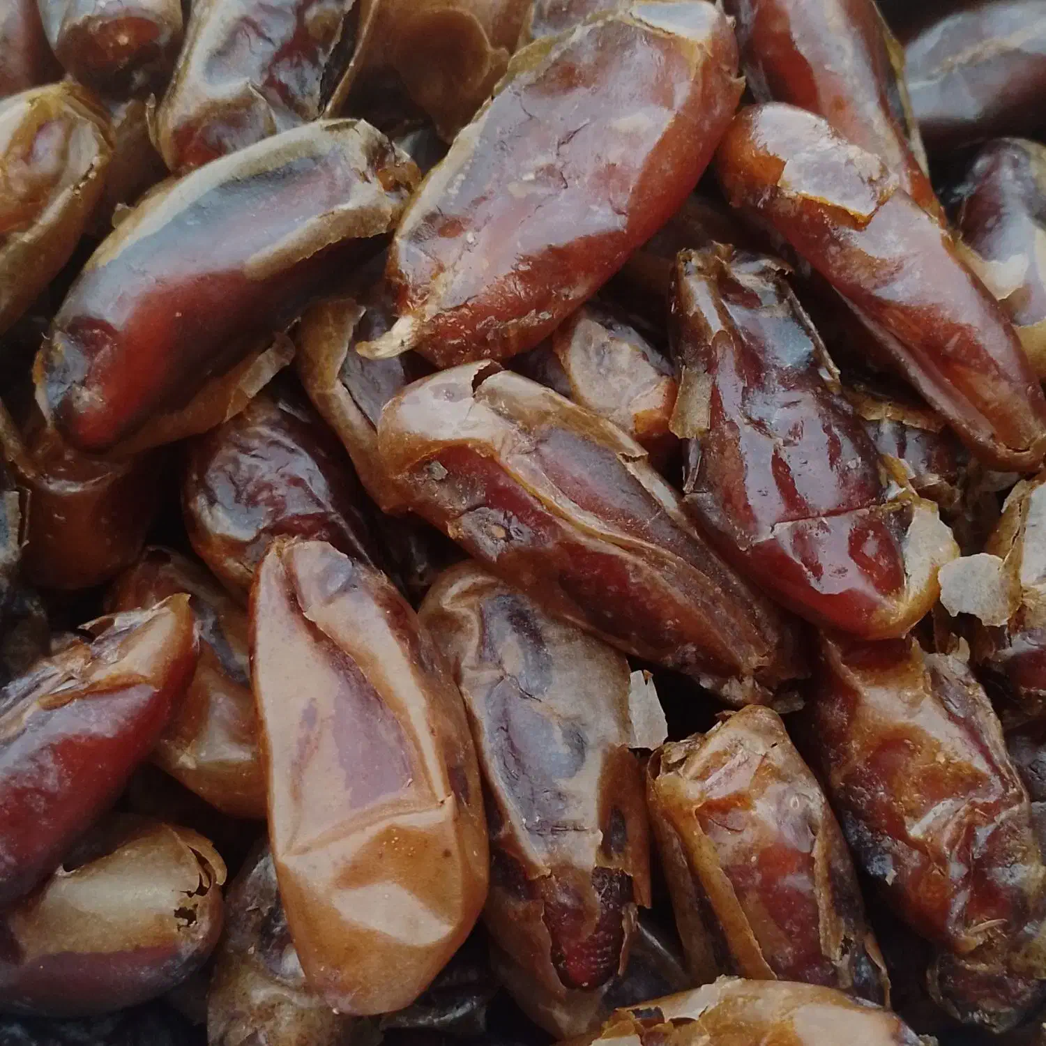 خرمای شاهانی جنوب کمیاب|خوردنی و آشامیدنی|کهک, |دیوار