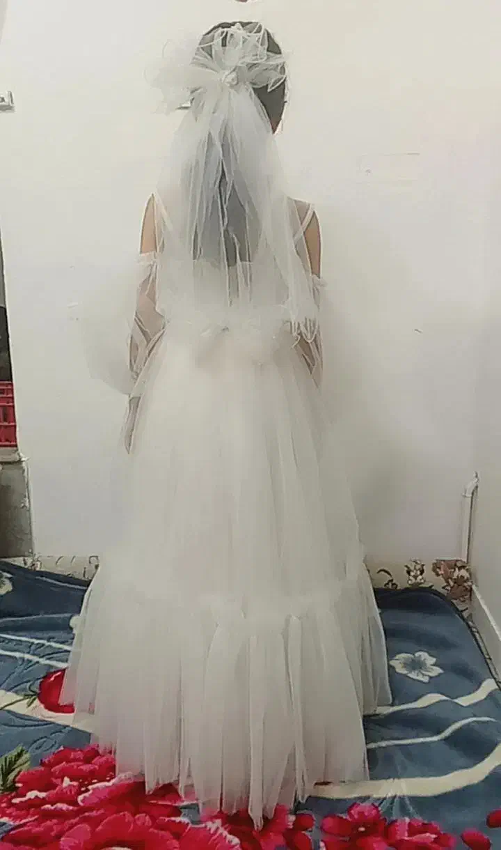 لباس مجلسی|لباس|سمنان, |دیوار