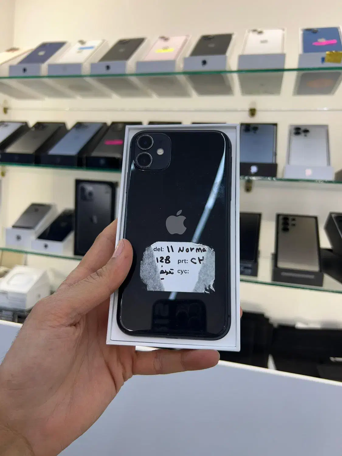 iphone 11 نرمال *اقساط*|موبایل|شیراز, گلدشت معالیآباد|دیوار