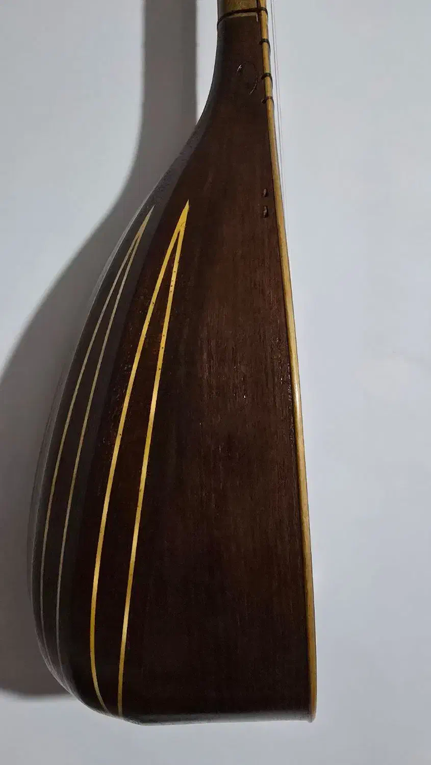 تنبور مهر تاک|سازهای سنتی|تهران, بهارستان|دیوار