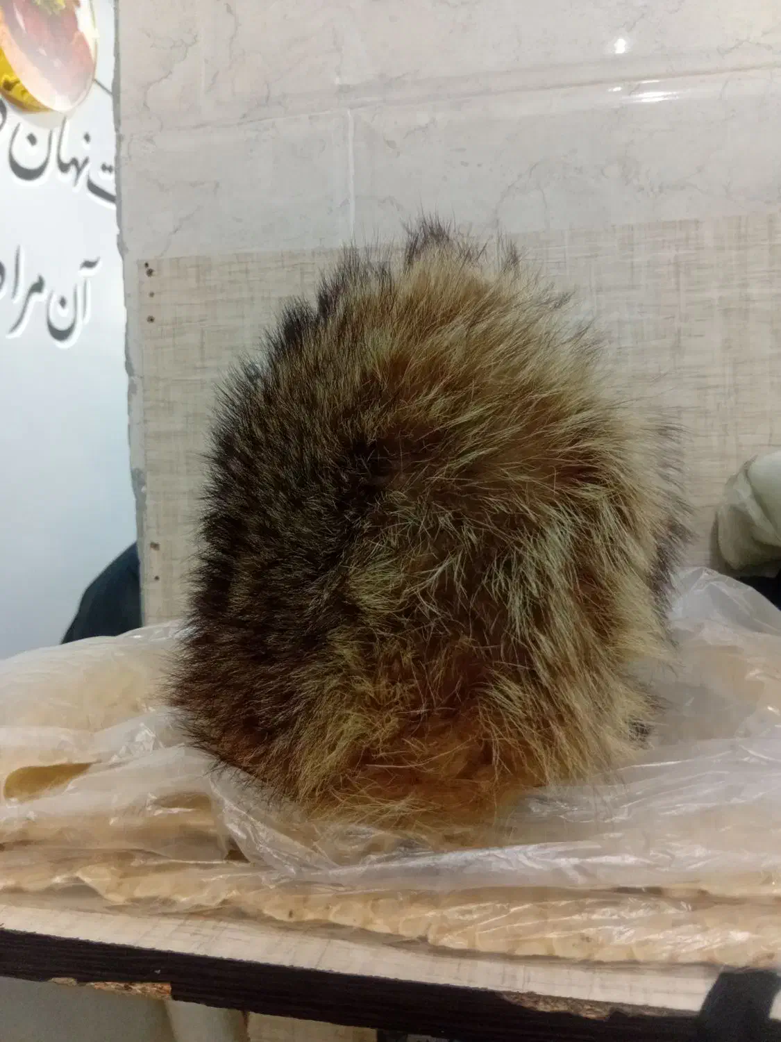 شلوارلی رایگان|لباس|تربت جام, بوستان وحدت|دیوار