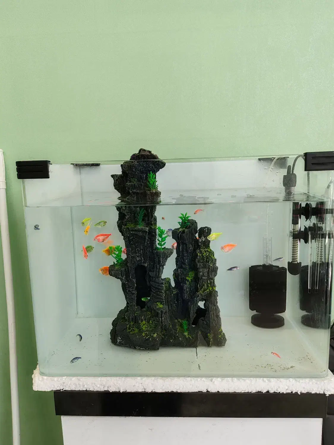 آکواریوم و تمام تجهیزاتش درحد|ماهی|برخوار, |دیوار