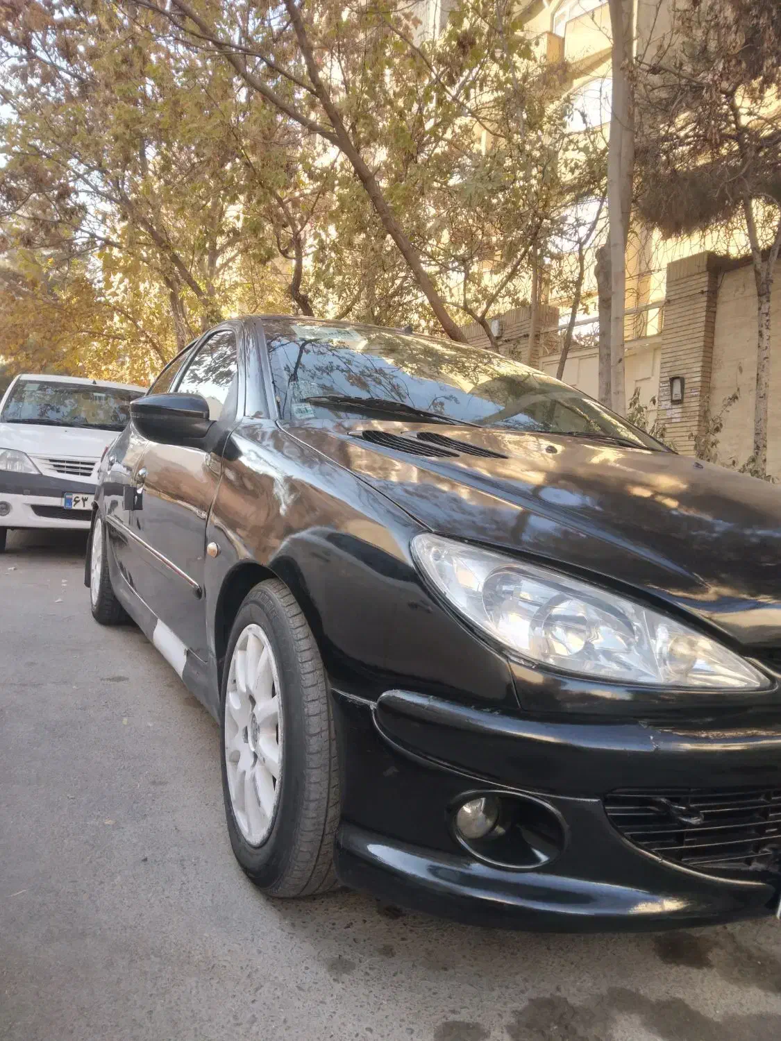 206 مدل ۸۱|خودرو سواری و وانت|مشهد, دانشجو|دیوار