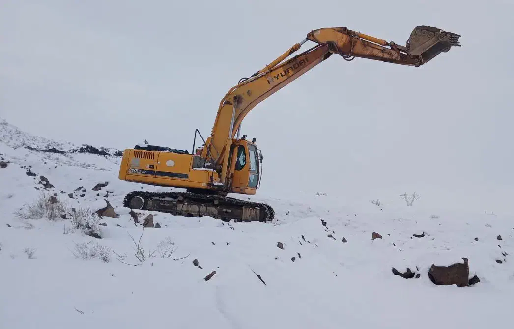 بیل با پیکور|خودرو سنگین|بندرعباس, |دیوار