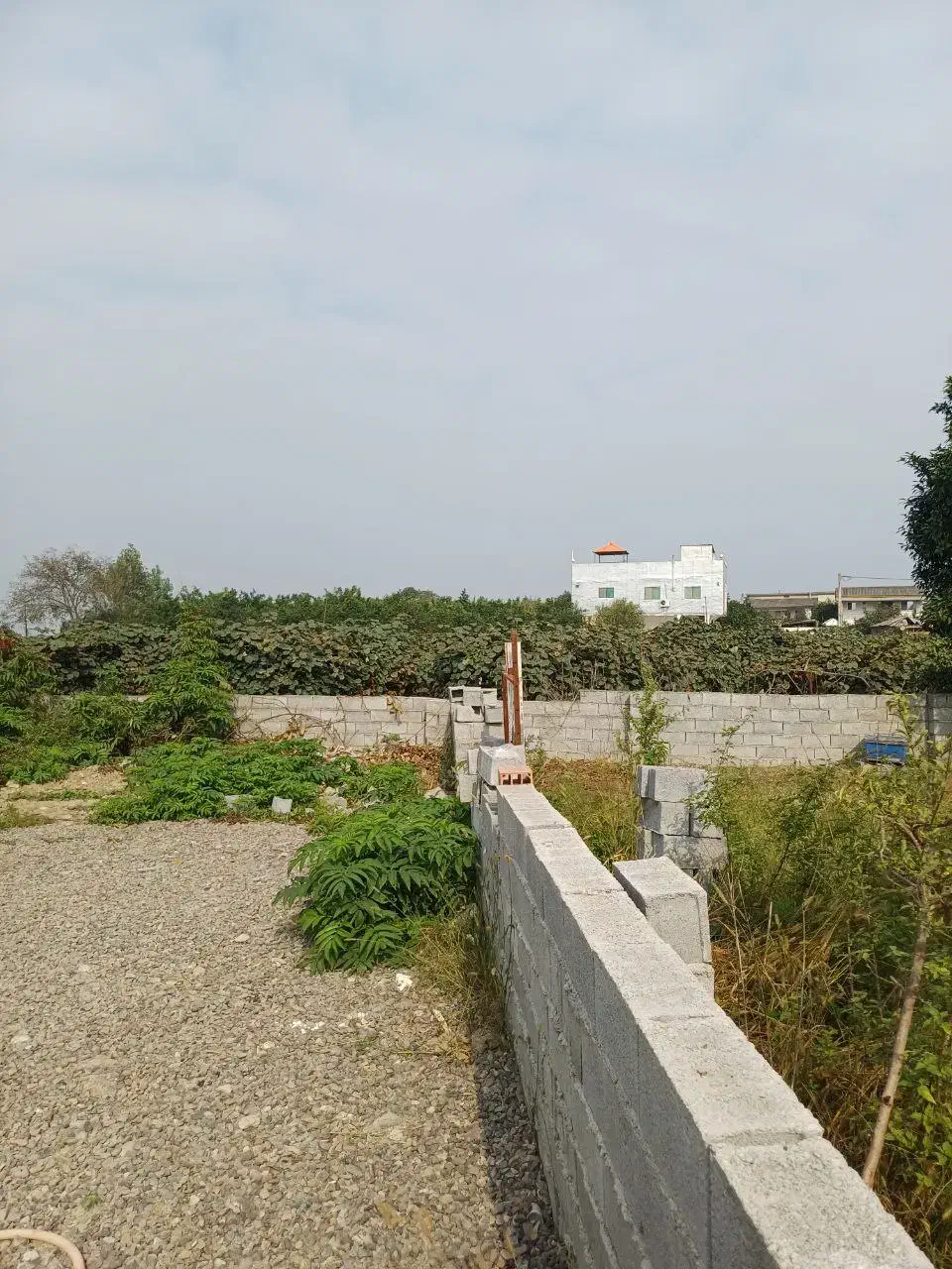 زمین۱۵۰متری پلاک شده آماده‌ ساخت/سندتکبرگ|فروش زمین و ملک کلنگی|چمستان, |دیوار