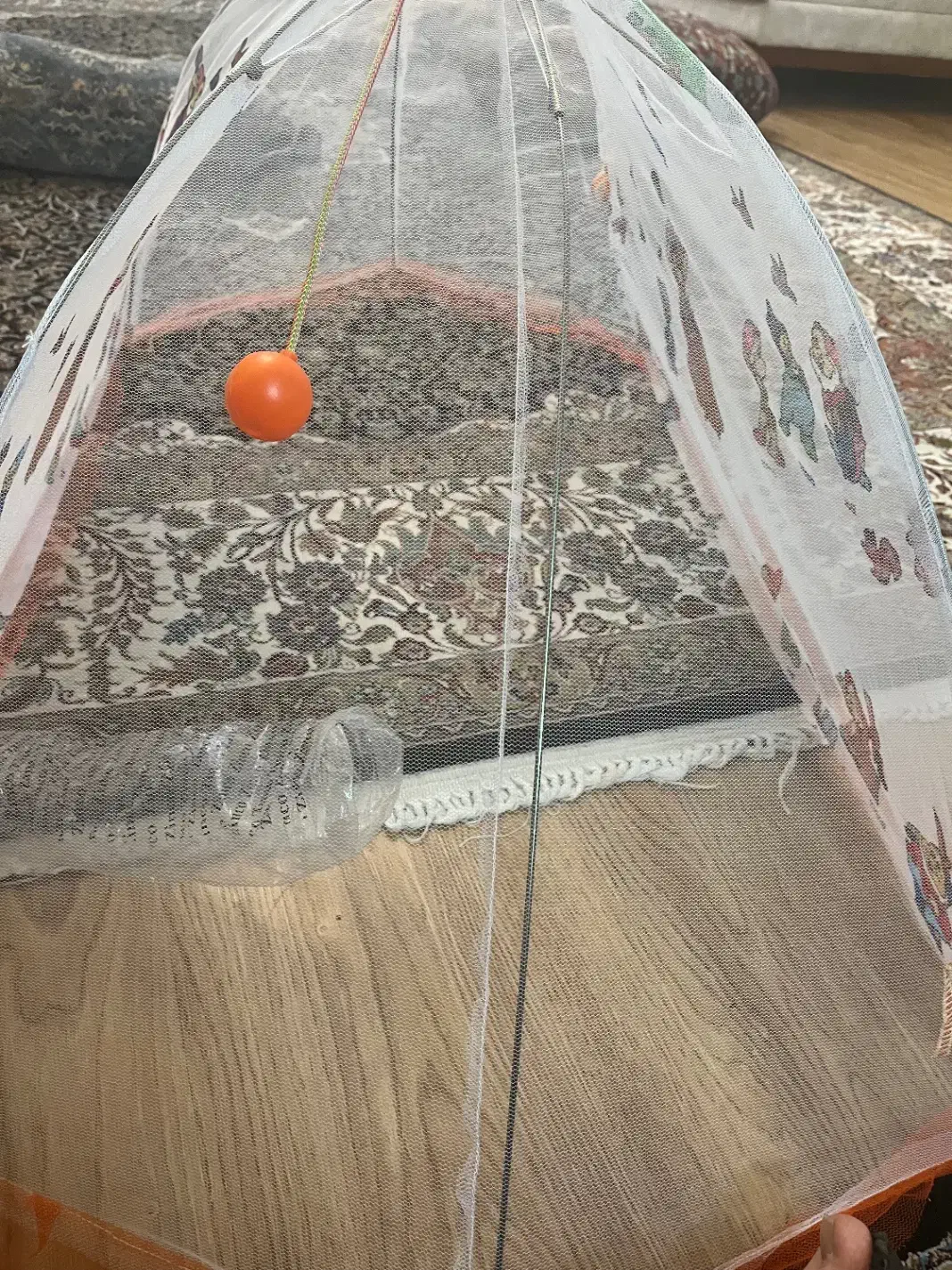 پشه بند چتری نوزاد|اسباب و اثاث بچه|زنجان, |دیوار