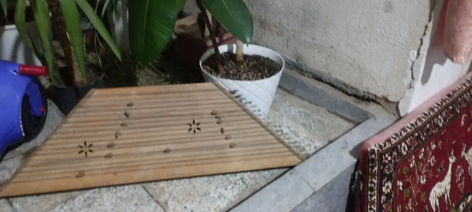 سنتور کارکرده|سازهای سنتی|شاهرود, |دیوار