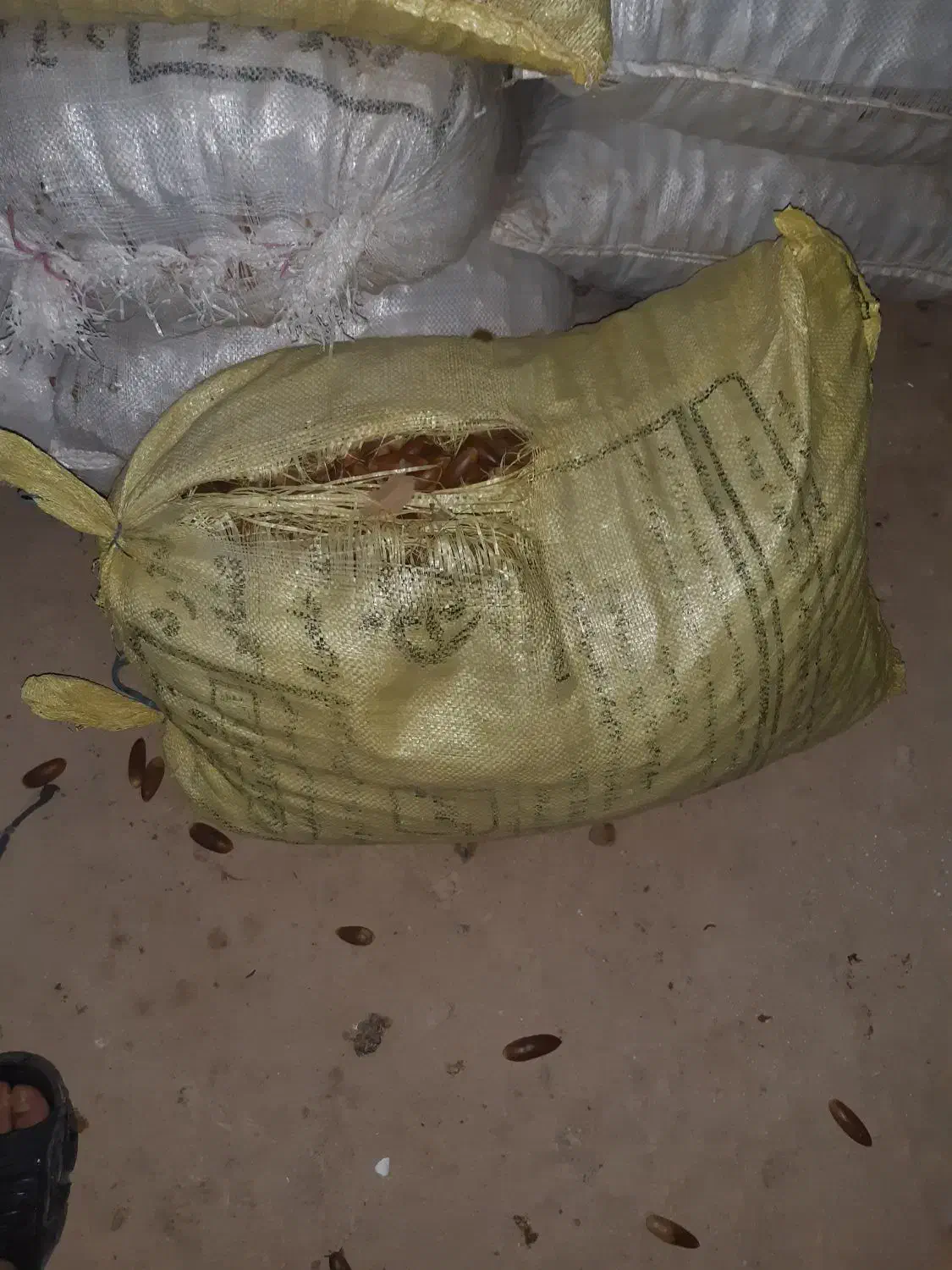 بلوط|خوردنی و آشامیدنی|اندیمشک, |دیوار