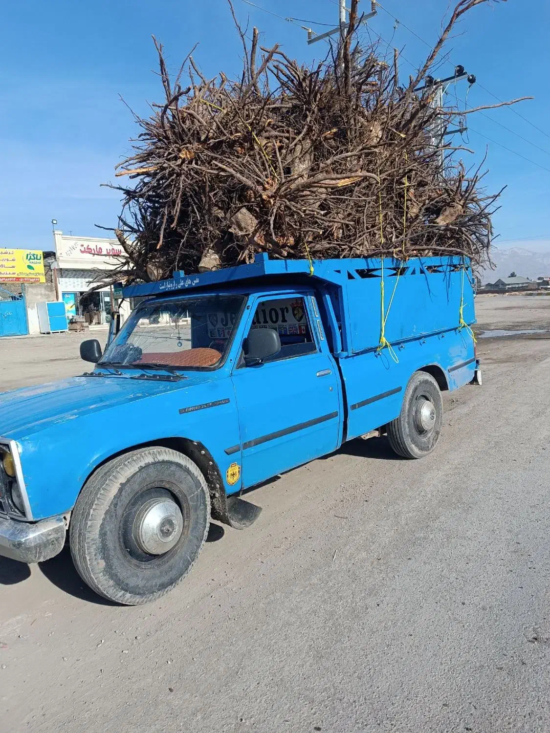 خرید چوب|خدمات باغبانی و درختکاری|نیشابور, خیام|دیوار