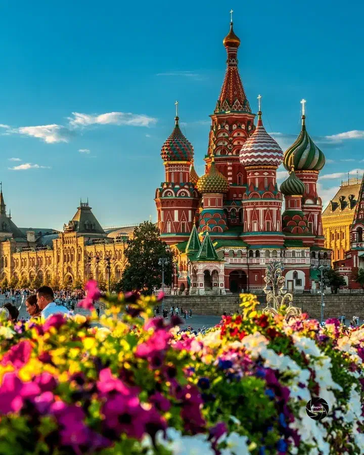 تحصیل روسیه/ بورسیه/دندانپزشکی/پزشکی/مهندسی|خدمات آموزشی|تهران, سید خندان (جلفا)|دیوار