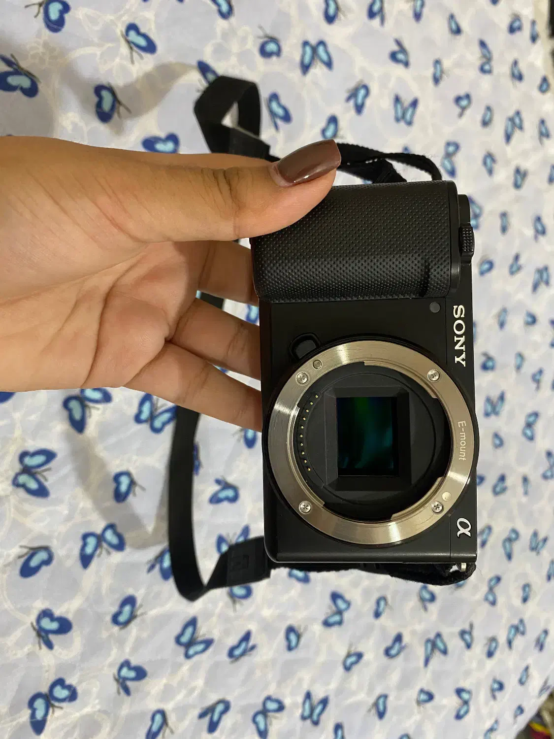 دوربین عکاسیzve10|دوربین عکاسی و فیلمبرداری|کرمان, |دیوار