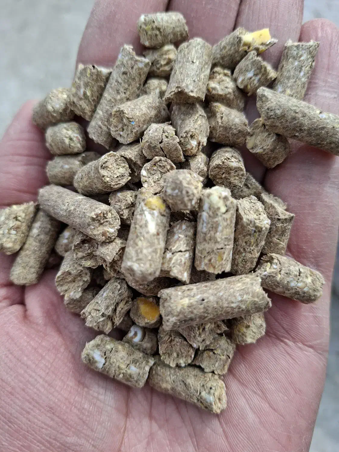 خوراک دام پرواری گوسفندی|لوازم جانبی حیوانات|شیراز, شهرک صنعتی شیراز|دیوار