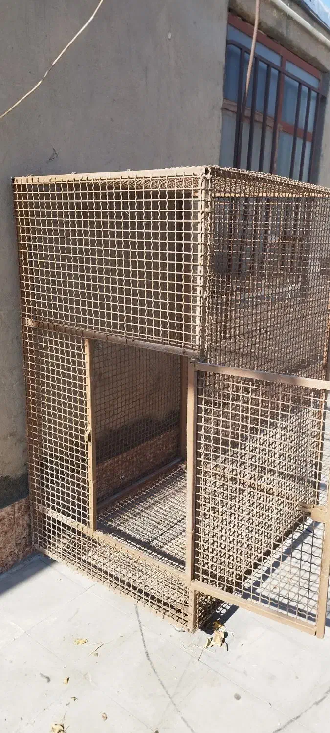 قفس|لوازم جانبی حیوانات|زرند, |دیوار