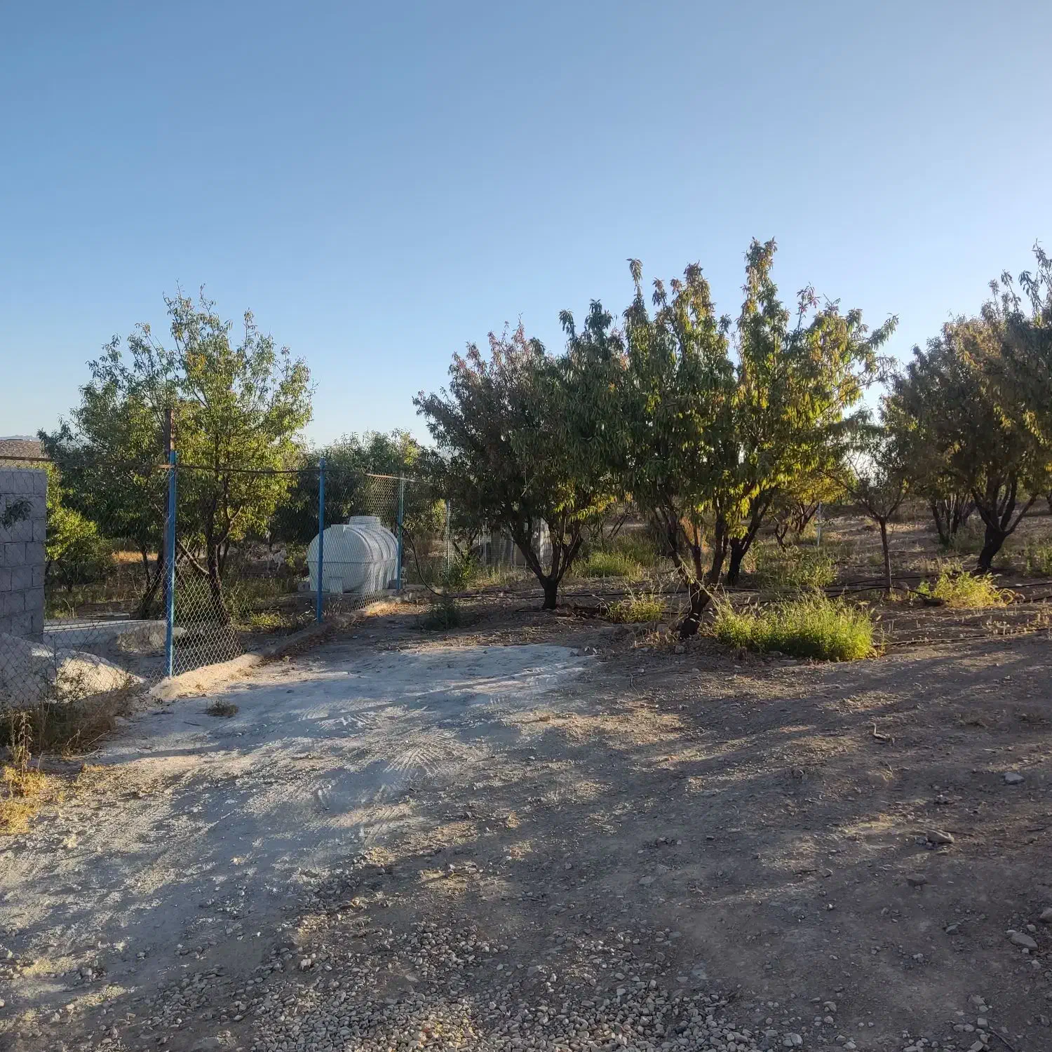 باغ فنس کشی شده|فروش خانه و ویلا|سامان, |دیوار