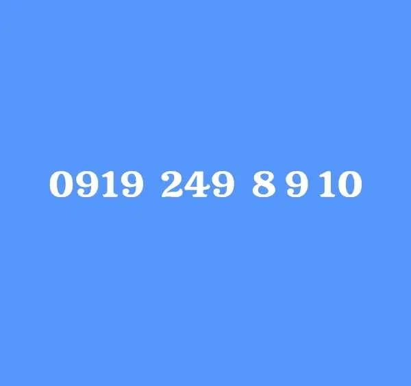 0919.249.8.9.10|سیم‌کارت|تهران, فردوسی|دیوار