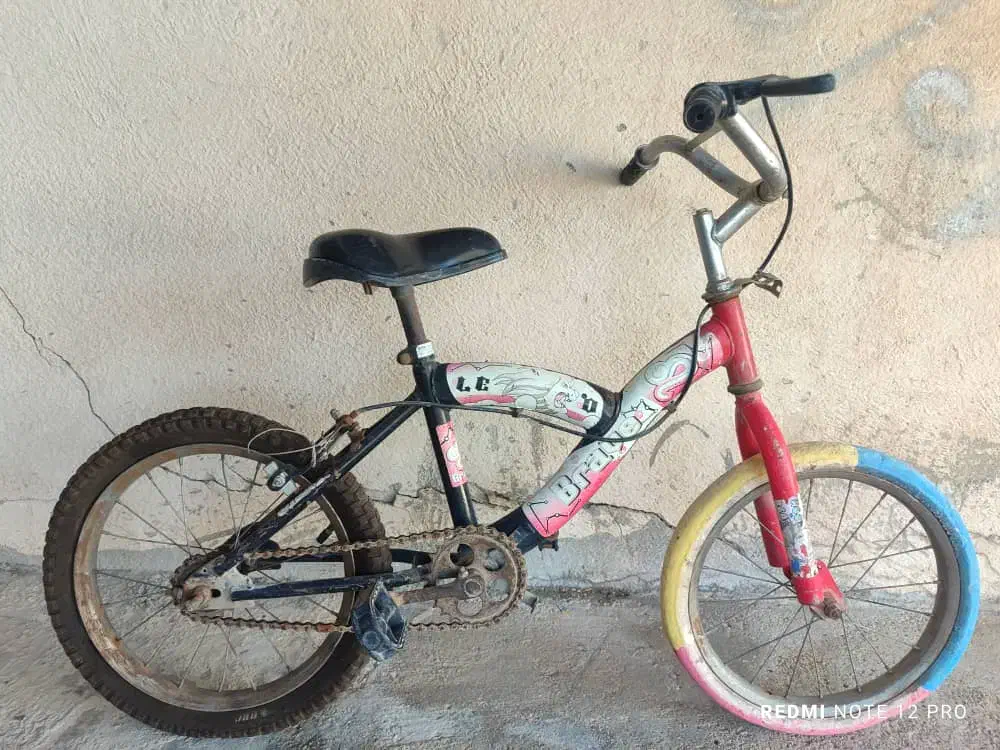 دوچرخه|دوچرخه، اسکیت، اسکوتر|بوشهر, |دیوار