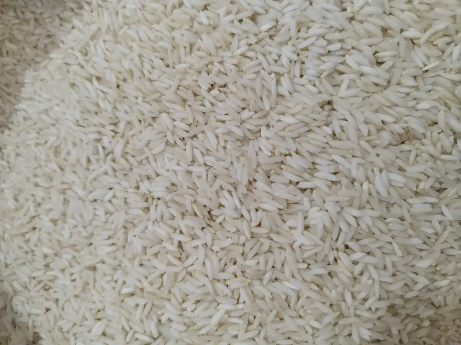 برنج علی کاظمی|خوردنی و آشامیدنی|گیلوان, |دیوار