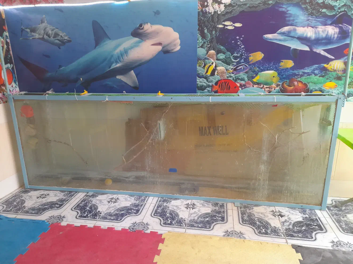 فروش ۱۳ عدد اکواریوم دست دوم با پایه وتعدادی ماهی|ماهی|میبد, |دیوار