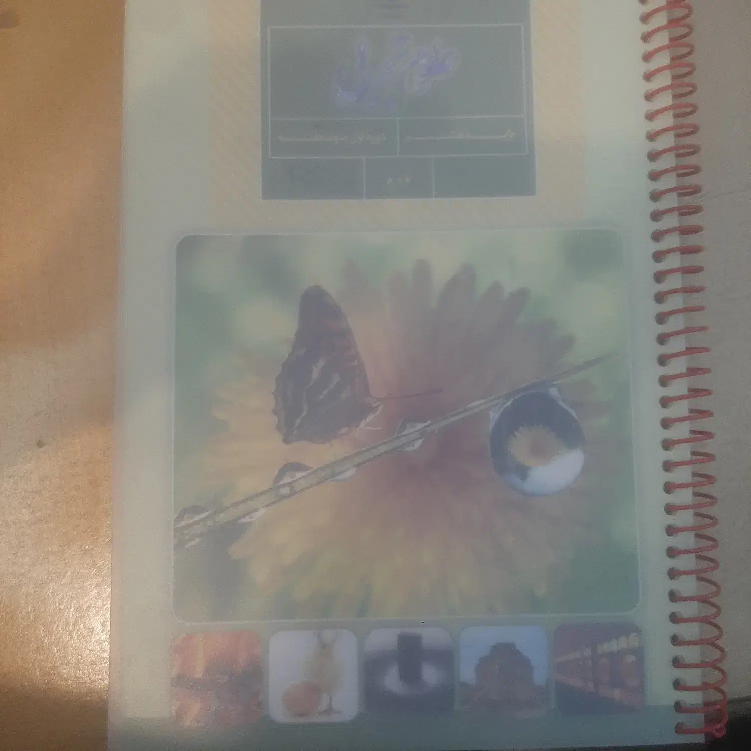 کتاب علوم|کتاب و مجله آموزشی|شهرکرد, |دیوار