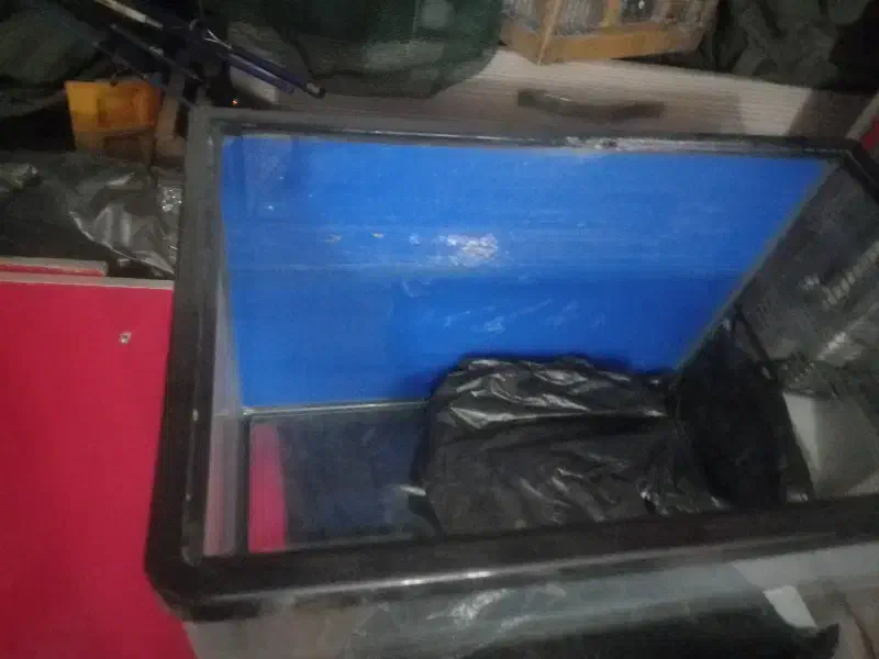 آکواریم|ماهی|قزوین, |دیوار