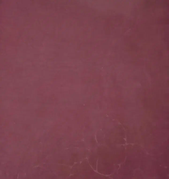 موکت درحد نو|موکت|رفسنجان, |دیوار