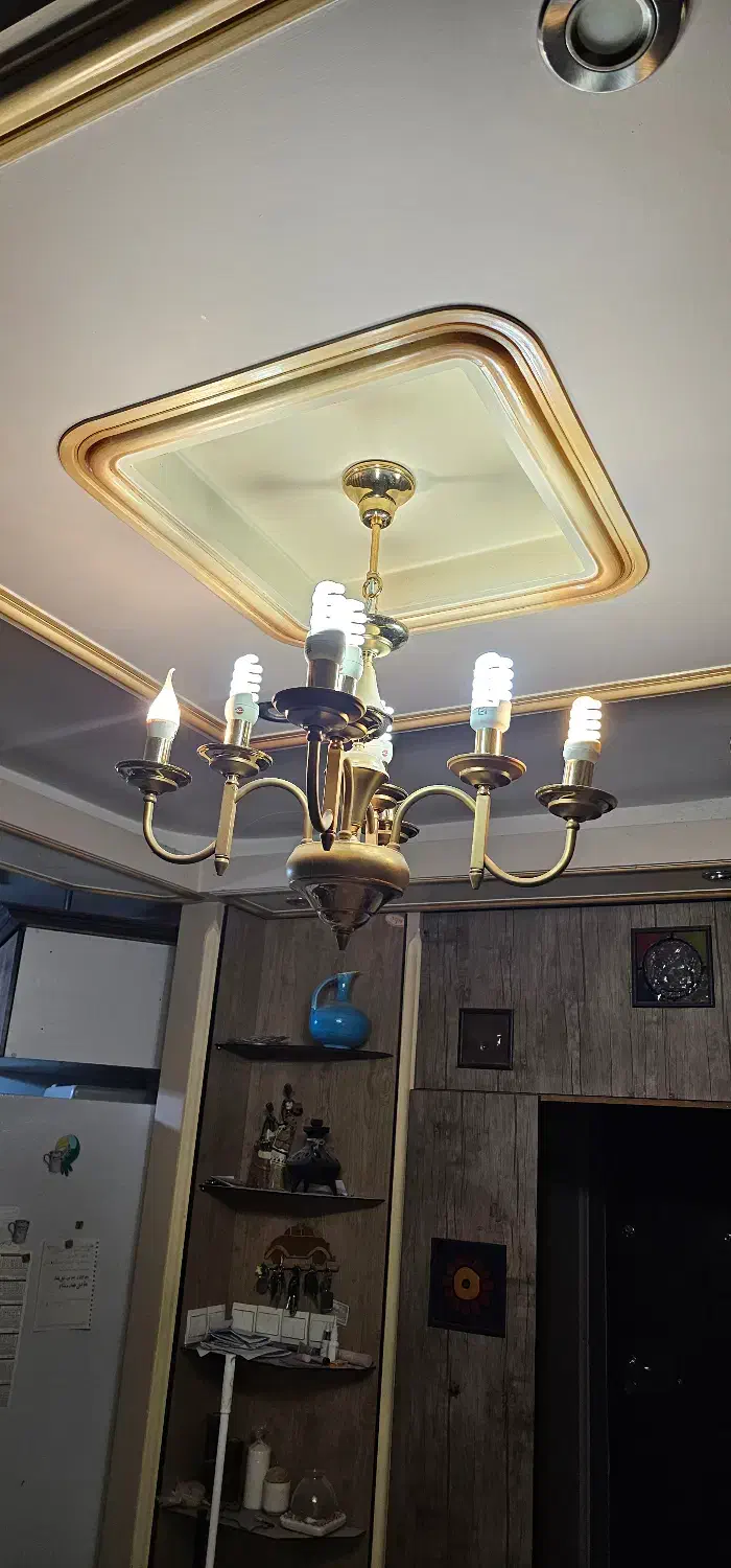 یک جفت لوستر ۸ شعله طلایی|لوستر و چراغ آویز|شیراز, قصرالدشت|دیوار