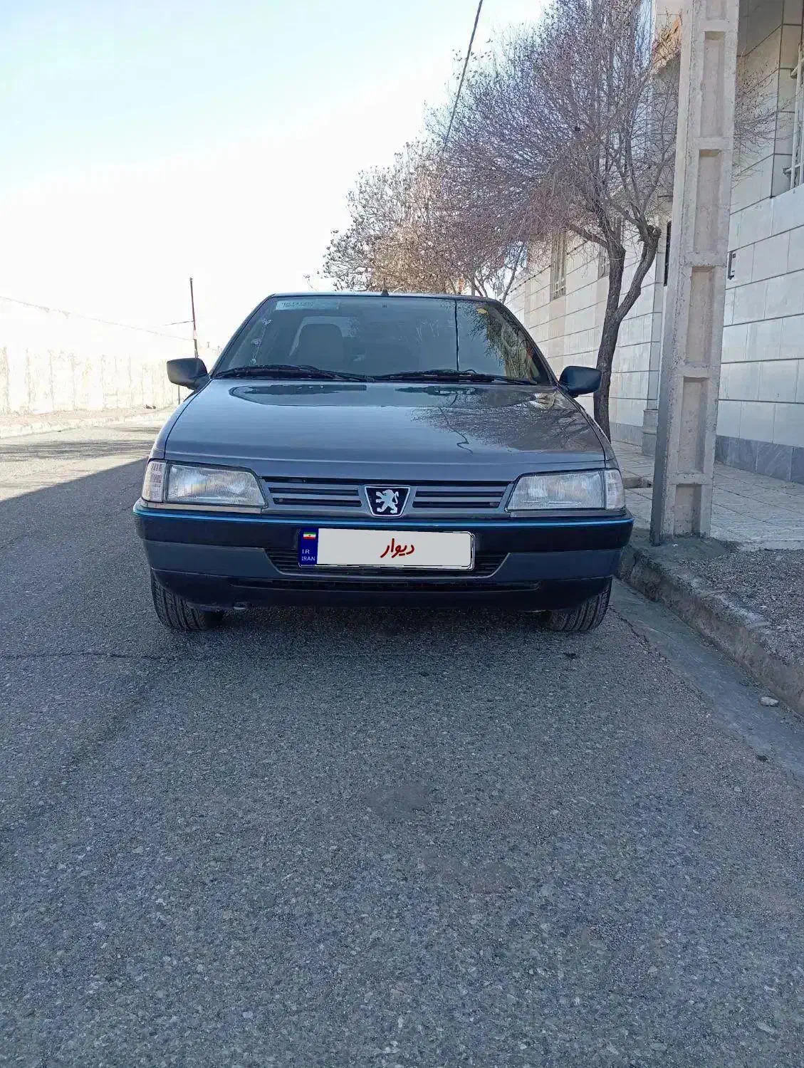 405.  96|خودرو سواری و وانت|سربیشه, |دیوار