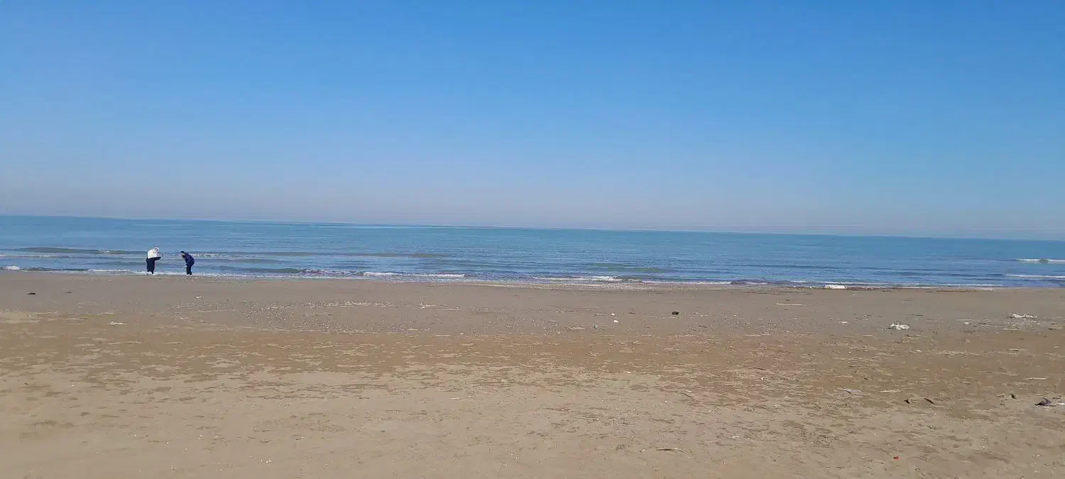 نظافت میکنم اقام|خدمات نظافت|بجنورد, |دیوار