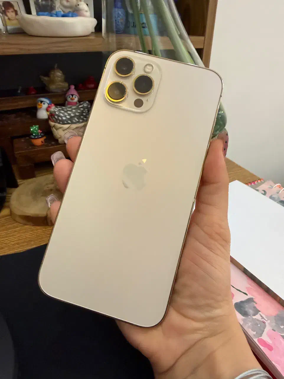 12promax 256|موبایل|رشت, استادسرا|دیوار