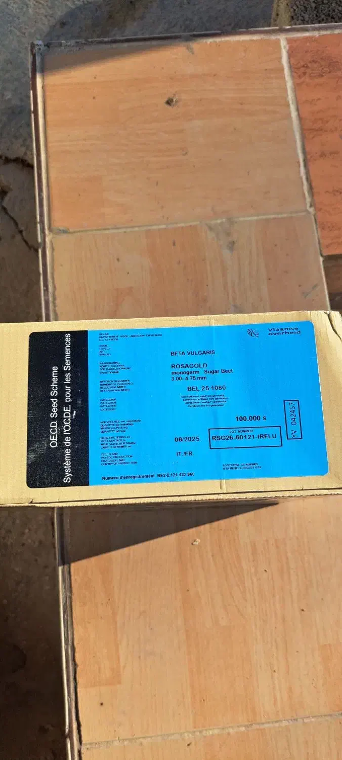 بذر  چغندر|گل و گیاه طبیعی|کلاله, |دیوار