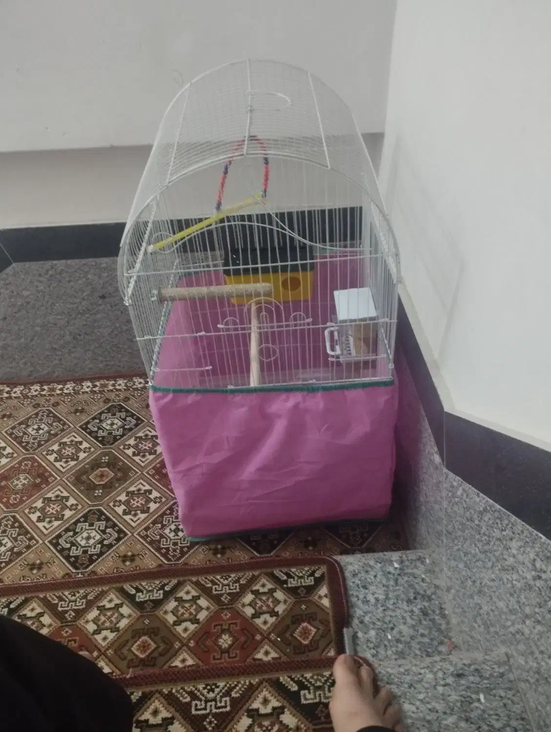 قفس بزرگ‌|لوازم جانبی حیوانات|سنندج, |دیوار