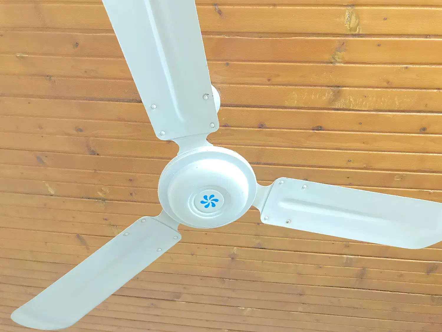 پنکه سقفی|پنکه و تصفیه‌کنندهٔ هوا|نوشهر, |دیوار