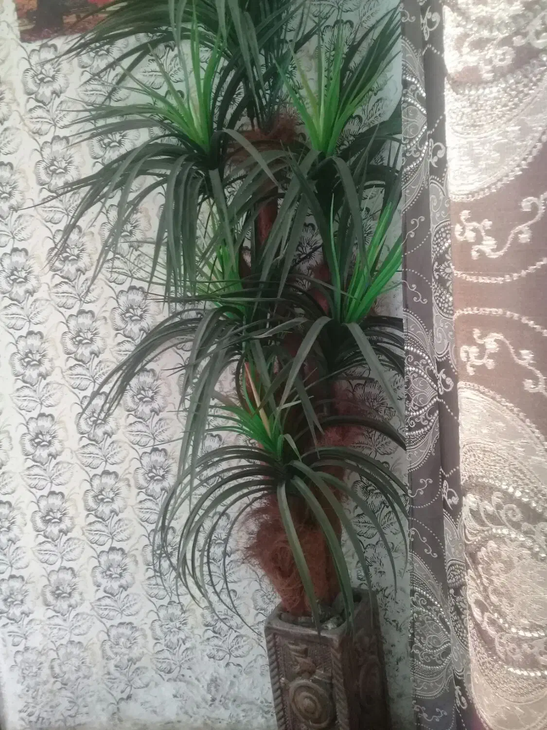 گلدان درخت نخل مصنوعی|گل مصنوعی|کرمانشاه, |دیوار