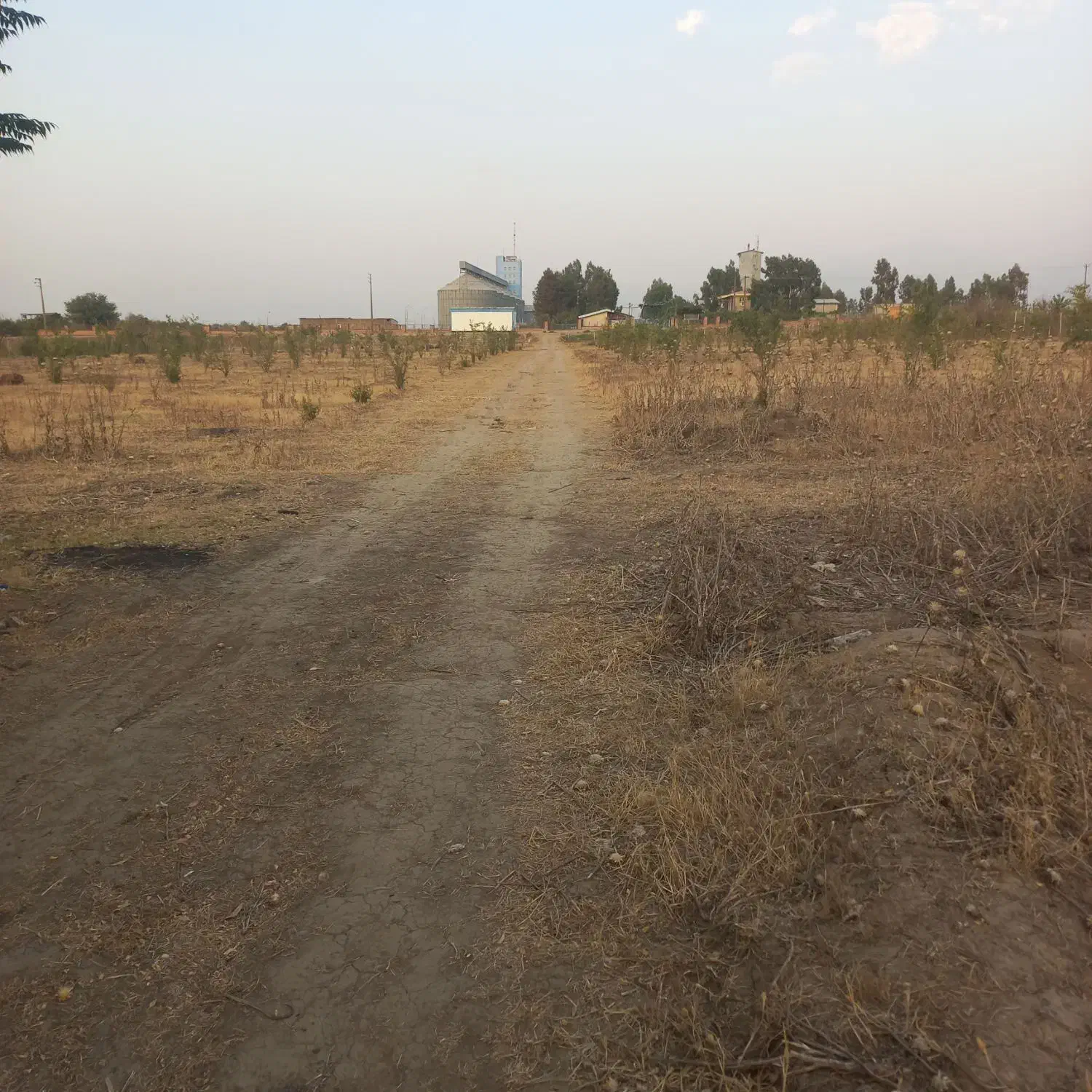 یک عددزمین باقیمت خوب بفروش میرسد|فروش دفتر صنعتی، کشاورزی، تجاری|فاضل آباد, |دیوار