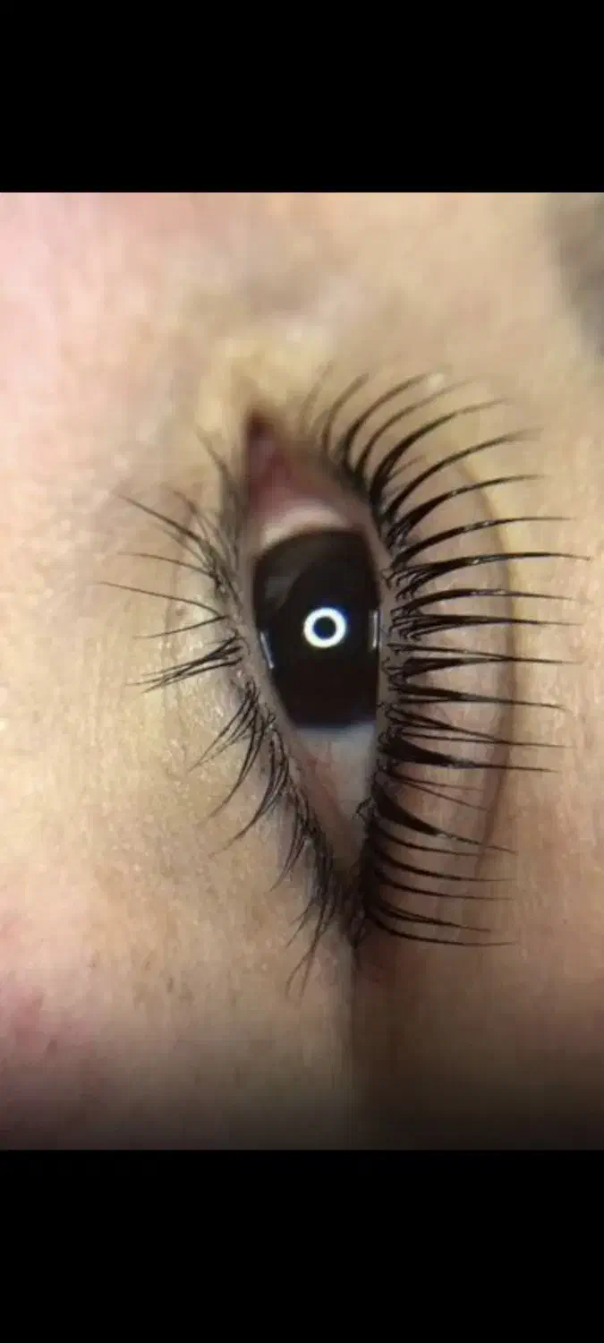 کاشت موقت و اکستیشن مژه لیفت و لمینت|خدمات آرایشگری و زیبایی|تهران, دهقان|دیوار