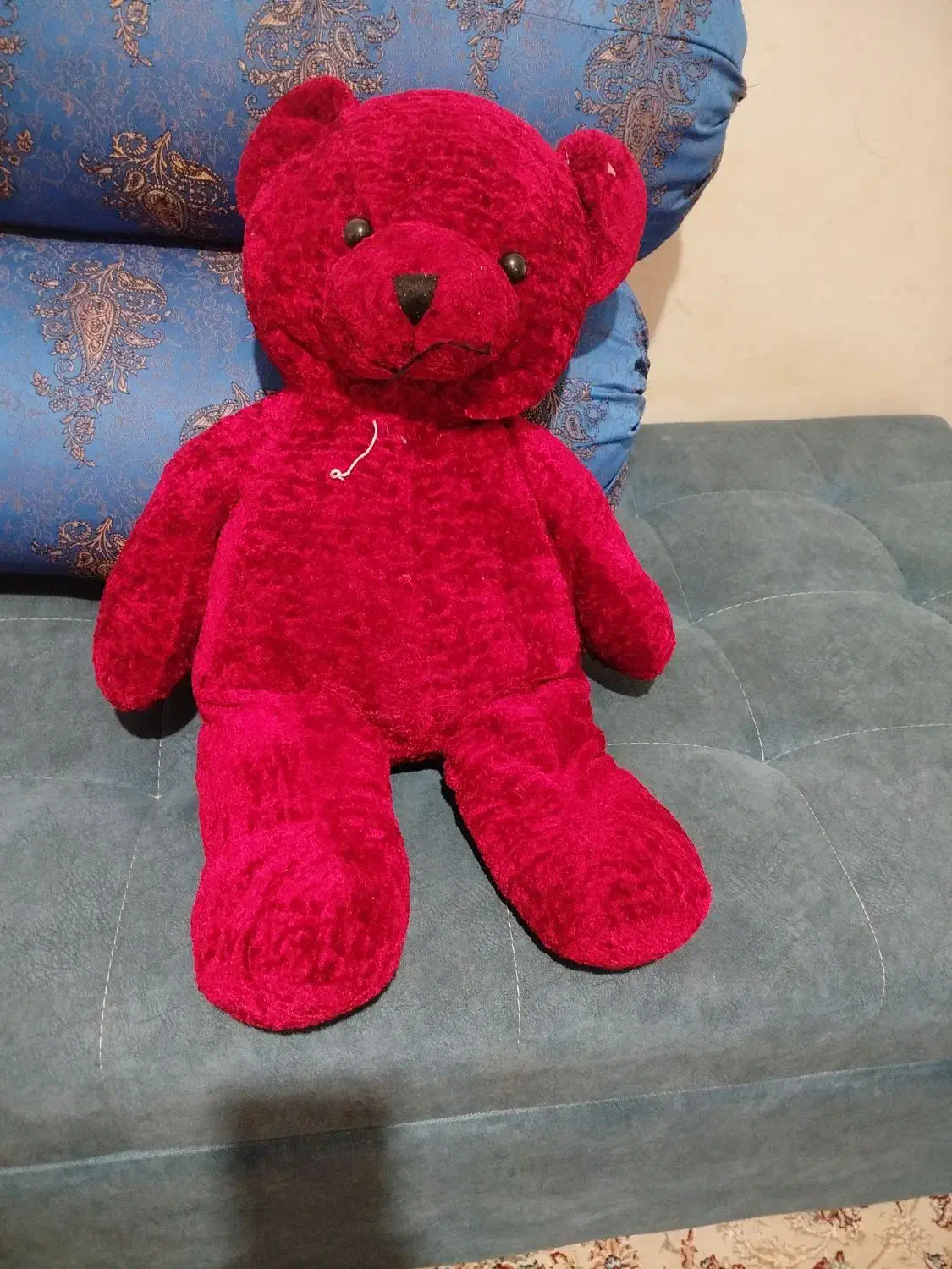 عروسک|اسباب‌‌بازی|زاهدان, |دیوار