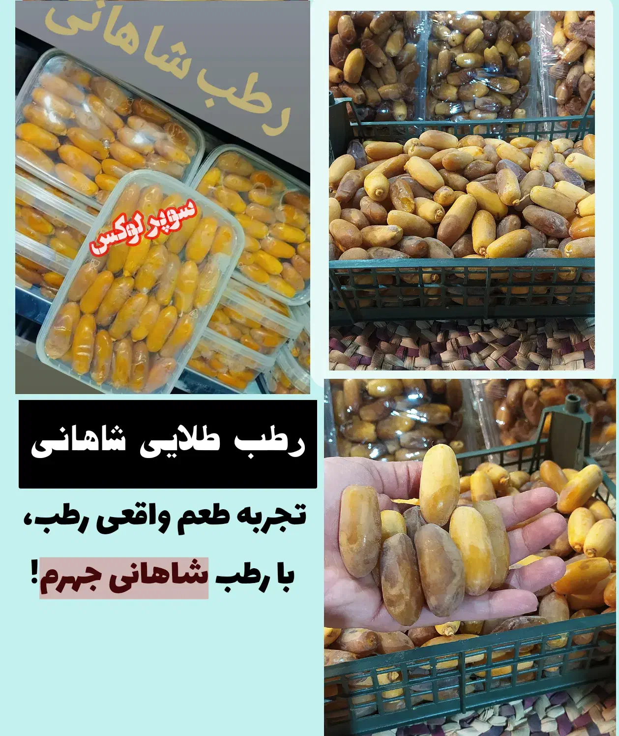 فروش خرما و رطب درجه یک از جهرم|خوردنی و آشامیدنی|رشت, آزادگان|دیوار