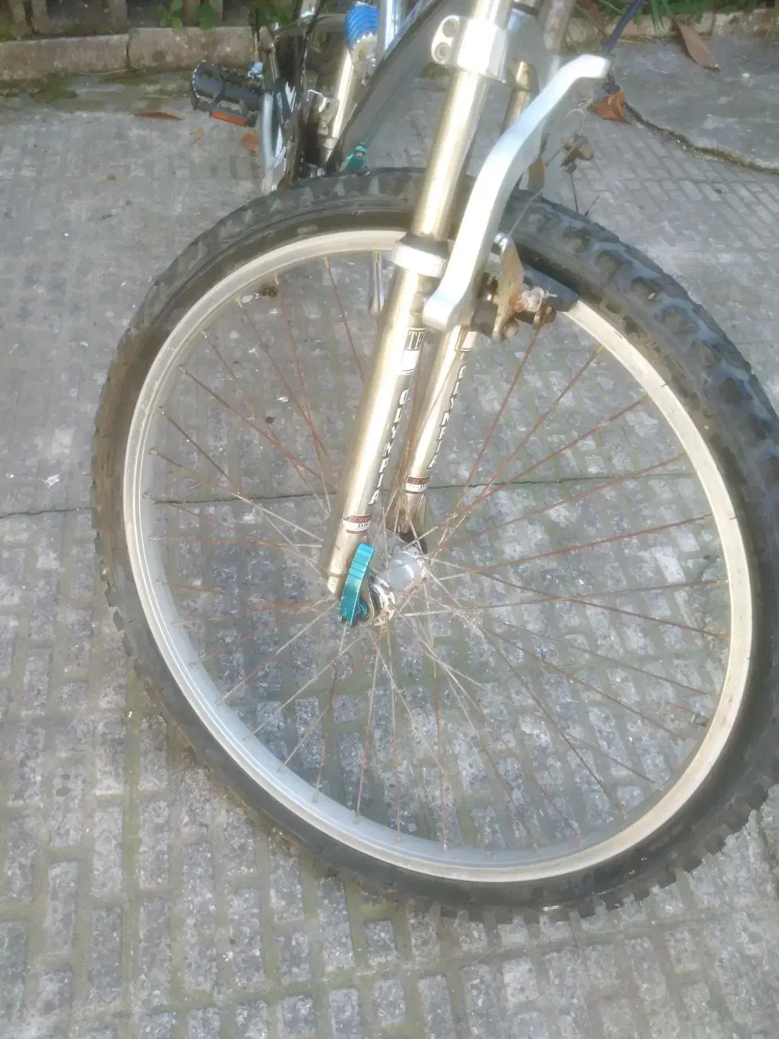 دوچرخه|دوچرخه، اسکیت، اسکوتر|رشت, آزادگان|دیوار