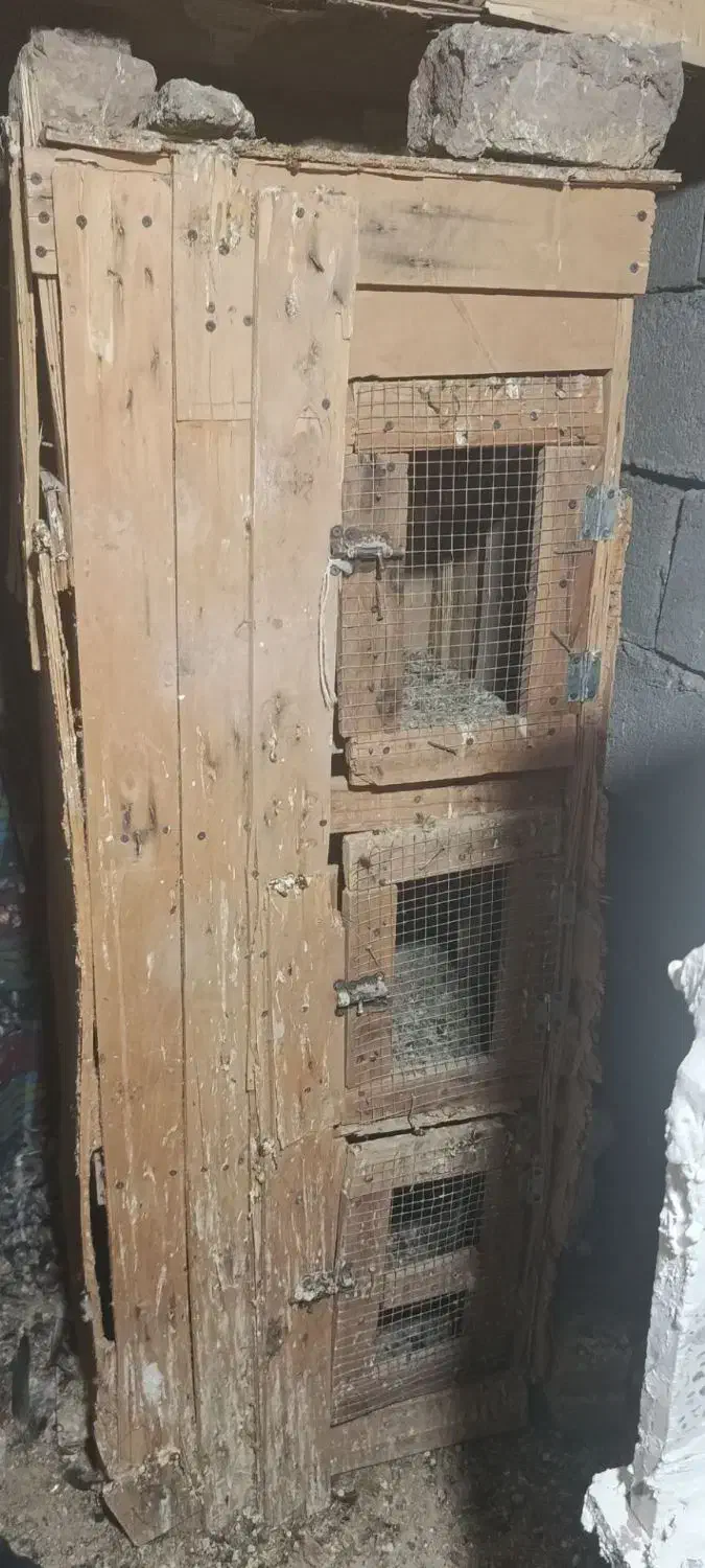 جفت کن سه طبقه|پرنده|بم, |دیوار