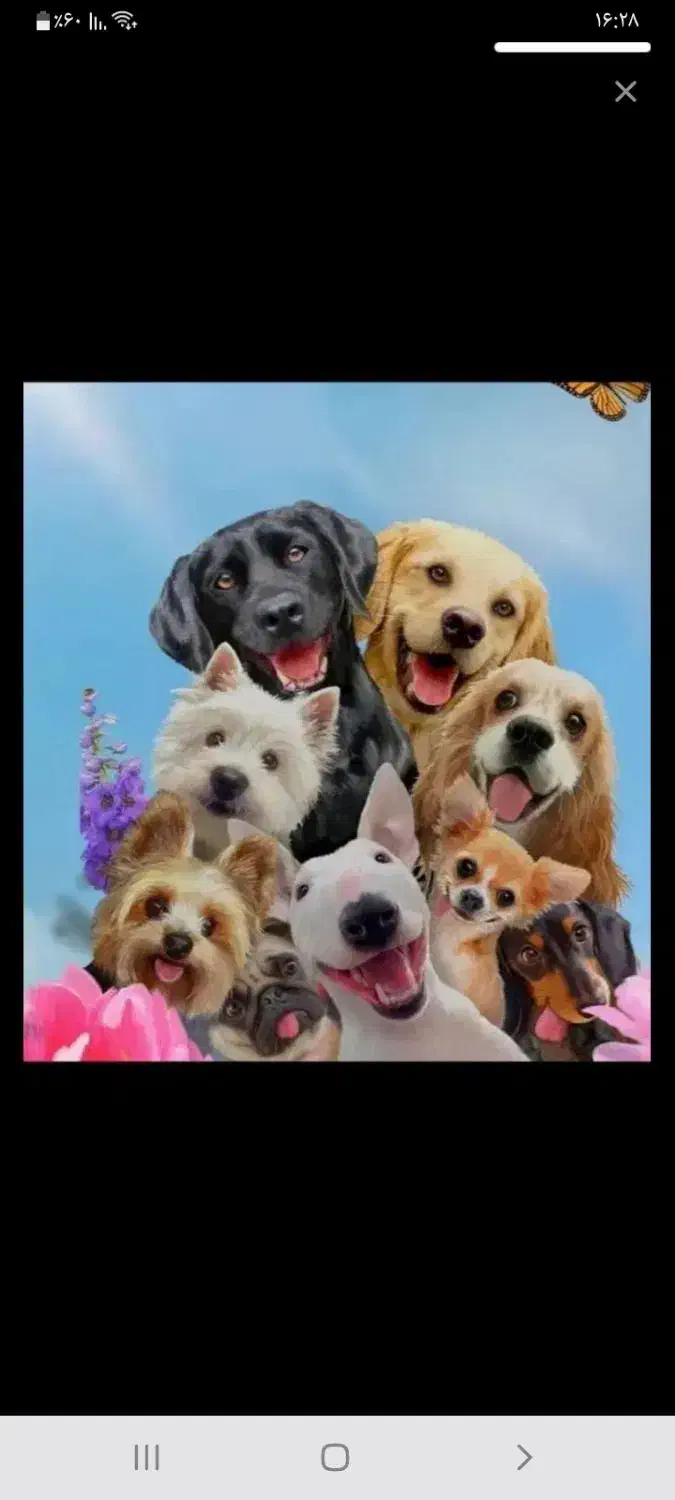 همکار برای پناهگاه سگ|استخدام سرایداری و نظافت|ماهدشت, |دیوار