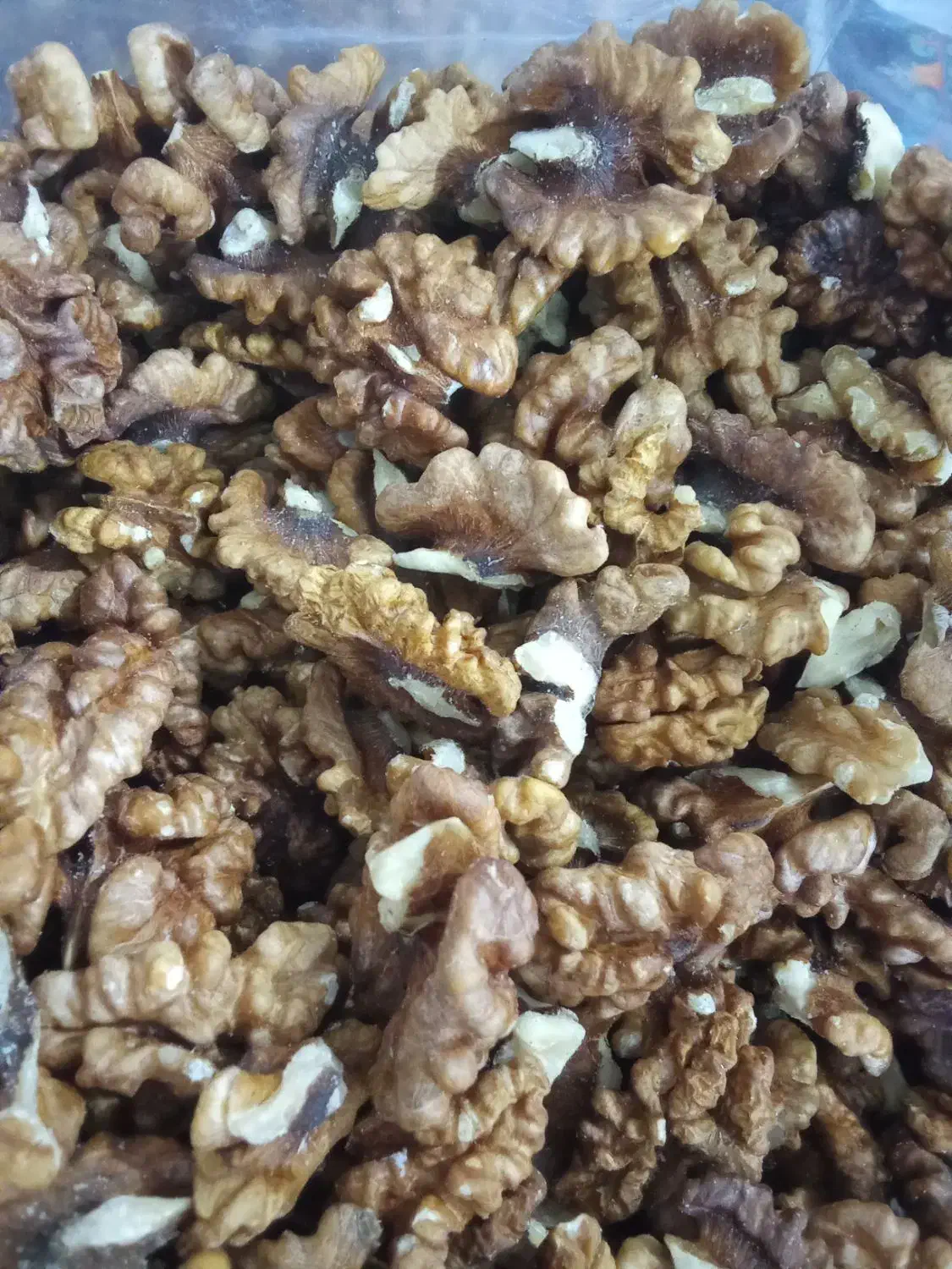 مغز گردو درجه 2|خوردنی و آشامیدنی|شیراز, محراب|دیوار
