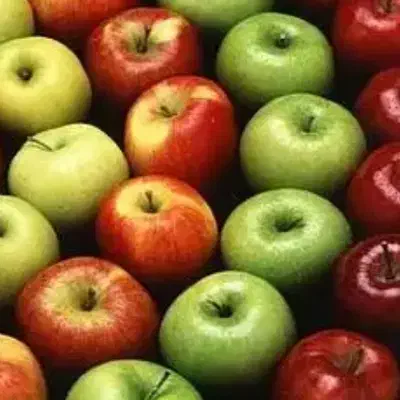 خریدار سیب|خوردنی و آشامیدنی|اشنویه, |دیوار