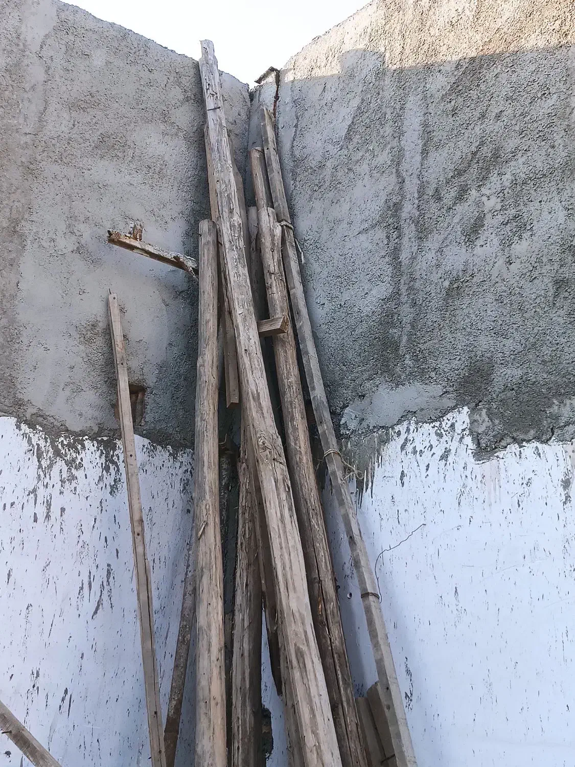 چوب پروار وزیرایرانیتی|مصالح و تجهیزات ساختمان|گرگان, |دیوار